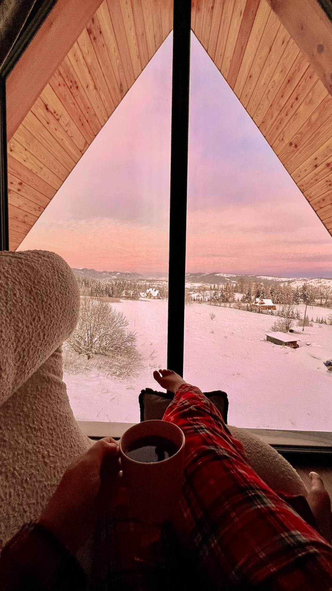 Teddy Bear Bed & Breakfast *